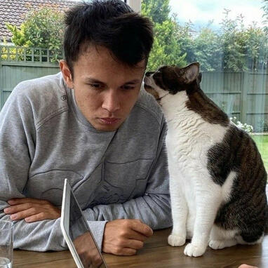 alex albon with his cat horsey
