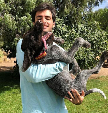 carlos sainz with his dog piñón